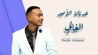 عدنان الأمير - عزنا بالشليل الكوم - جديد الاغاني السودانيه 2022
