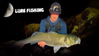 The LURE that’s MADE the DIFFERENCE | Night Lure Fishing For BASS | perfect Moon Phase