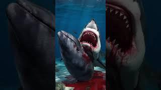 Great White Shark vs Dolphin vs Crocodile (Sperm Whale, Walrus, Humpback Whale, Whale Shark) Battle