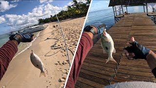 Best Season for Shore Casting is here !!! Balaclava Mauritius 2025