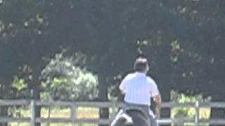 Philip riding with Brigid, a Paso Fino in Kentucky (6/29/2011)