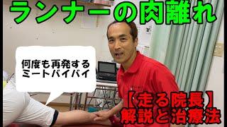 ランナーの肉離れ　東広島の整体院ボディバランス整骨院が運営するマラソンランニングクラブBBRボディバランスランナーズの【走る院長】が解説と治療法を公開