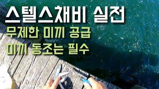 최강 스텔스채비 실전/ 안잡히는게 이상한 채비/ 홀리코리안/ 뉴질랜드낚시