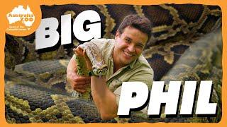 A perfect python...with a genius name  | Australia Zoo Life