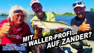 STEFAN SEUß fängt ALLES! Die WALLERJUNGS zu BESUCH bei UNSER ZIEL IST FISCH