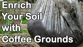 Enrich Your Garden With Used Coffee Grounds and my 2013 Expenses