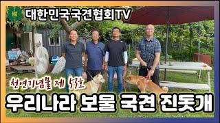 천연기념물 제 53호, 우리나라 보물 국견 진돗개 | 대한민국국견협회TV