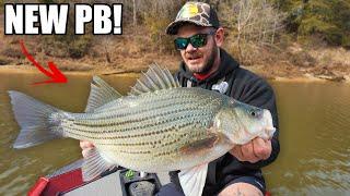 Chasing HUGE Winter RIVER FISH!