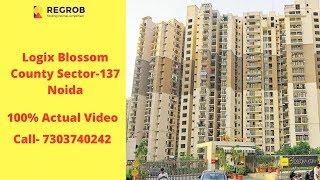 Logix Blossom County Sector 137 Noida | Actual Video | Sales +91-7669903773