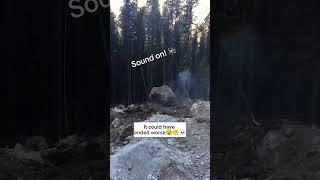 It Could Have Ended Worse 