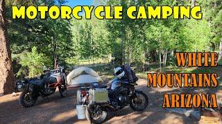 Motorcycle Camping White Mountains #arizona  #dualsport #adventuremotorcycle #camping #ktm #triumph