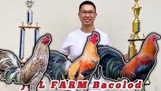 JML FARM BACOLOD