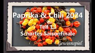 Paprika & Chili 2024 Teil 13 - Scharfes Saisonfinale