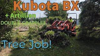 Kubota BX - DOUBLE GRAPPLE - Tree Removal!!