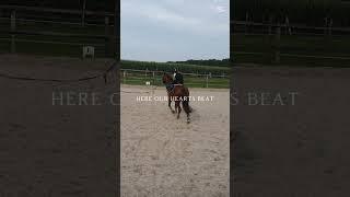 me when i was young #equestrian #horse #canter #horseriding #capcut @Ponypower-pp