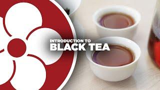 Intro to Black Tea