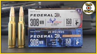 TWINS?...Federal Non-Typical VS PowerShok .308 Ballistic Gel AMMO Test & Review!