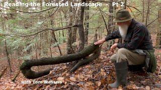 Tom Wessels: Reading the Forested Landscape, Part 2