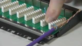 BRAND REX Cat6Plus 24 Port Half U UTP Patch Panel Installation.mp4