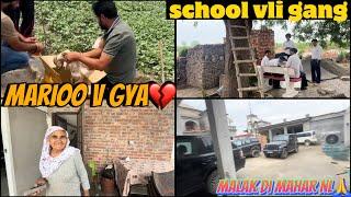 Marioo v chl gya vichraaaa | school bli gang | malak di mahar nl sb kuj