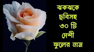 Flowers Names for kids in Bangla || বাংলাদেশি ৩০ টি ফুলের নাম ও ঝকঝকে ছবি