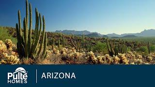 New Homes in Phoenix | Canyon Views | Home Builder | Pulte Homes