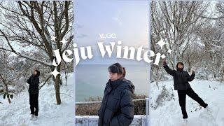 Winter in Jeju Island  ️ l VLOG