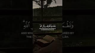 الا بذكر الله تطمئن القلوب #قرآن #ذكر_الله #سبحان_الله #آية #آيات