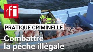 Pourquoi il faut combattre la pêche illégale • RFI