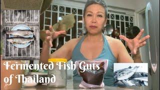 Can fish guts be fermented???