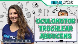 Oculomotor, Trochlear, and Abducens Nerves