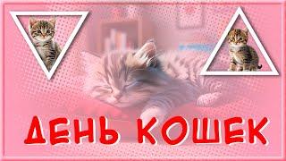 8 августа Красивое поздравление с Днем Кошек! Всемирный день кошек!  Всех Кошатников с праздником!