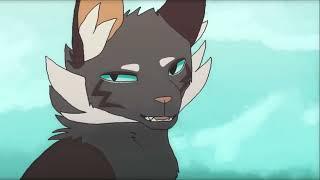 коты-воители. искра и коршун. superman / ivypool & hawkfrost tribute - superman