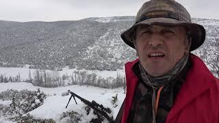 TOKAT DOMUZ AVI / WILD BOAR HUNTING