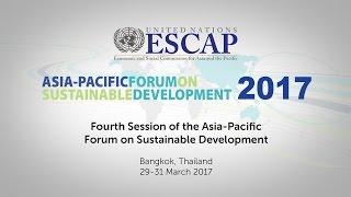 APFSD4: Means of Implementation, Regional Roadmap and Form of APFSD