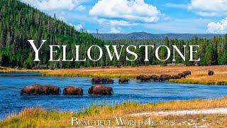 Yellowstone National Park 4K Ultra HD • Stunning Footage, Scenic Relaxation Film with Calming Music