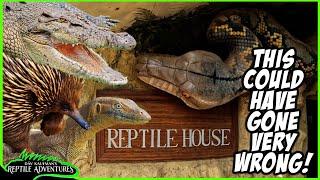 BAD CHOICE AT AN AUSTRALIAN REPTILE ZOO! Snakes Down Under Reptile Park tour!