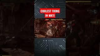 COOLEST THING IN MORTAL KOMBAT 11 | QUITALITY