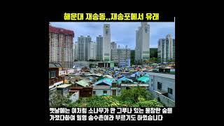 재송동은 재송포에서 유래하였습니다