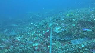 Anchor chain from a private yacht on corals in Raja Ampat