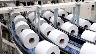 How TOILET PAPER ROLLS are Made  | THIS IS HOW 83 MILLION TOILET PAPER ROLLS ARE PRODUCED