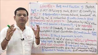 Diuretic (Part 02)= Parts and Functions of Nephron | Urine Formation Steps | Diuretics Pharmacology