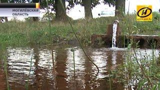 Вода из артезианской скважины 10 лет вытекает на землю в Кричеве. Сколько кубометров уже утекло?