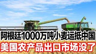 阿根廷1000万吨小麦运抵中国，美国农产品出口市场没了