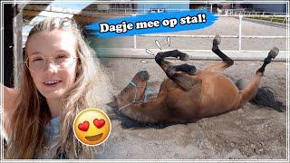 DAGJE MEE OP STAL BIJ MIJN PAARD!! | Zoo Lianne