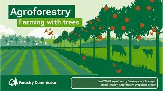 Agroforestry- Farming With Trees