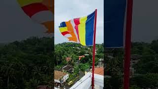 Rain, Wind, Religious Worship,Unity of people is a precious mix in  #srilanka #vesak #buddhism