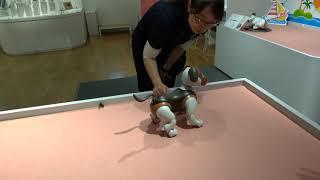 Sony Store Ginza