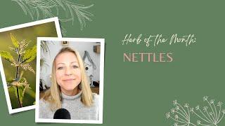 Herb of the Month: Nettles