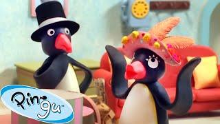 A New Hat!  | Pingu - Official Channel | Cartoons For Kids